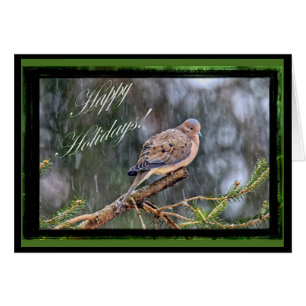 Happy Holidays Greeting Card - Mourning Dove