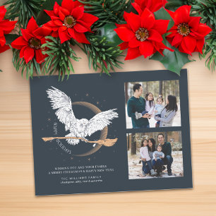 Happy Holidays Hedwig Delivery   Family Photo Holiday Postcard