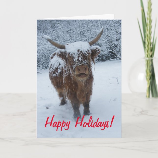 Happy Holidays Highland Cow Holiday Card (Front)