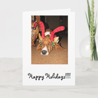 Happy Holidays!!!! Holiday Card