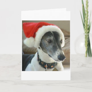 Happy Holidays Holiday Card