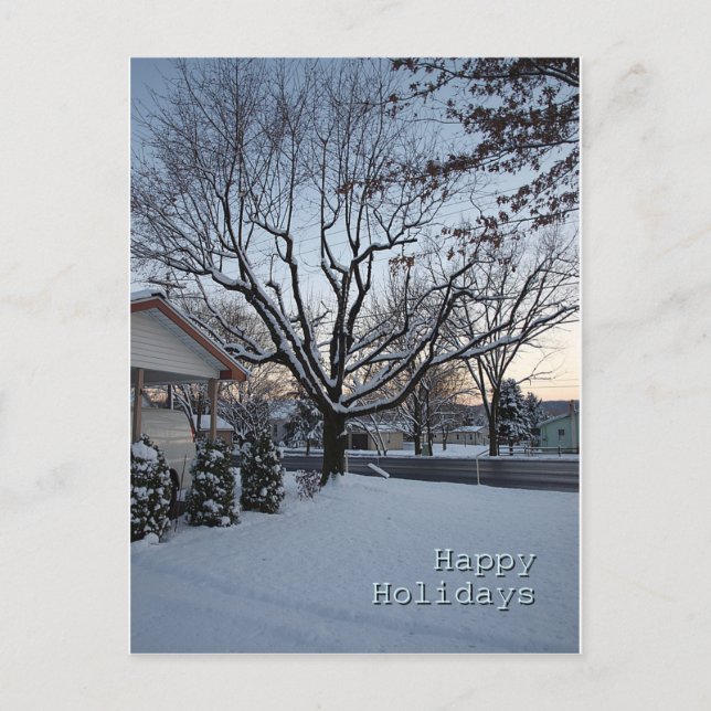 Happy Holidays Holiday Postcard (Front)