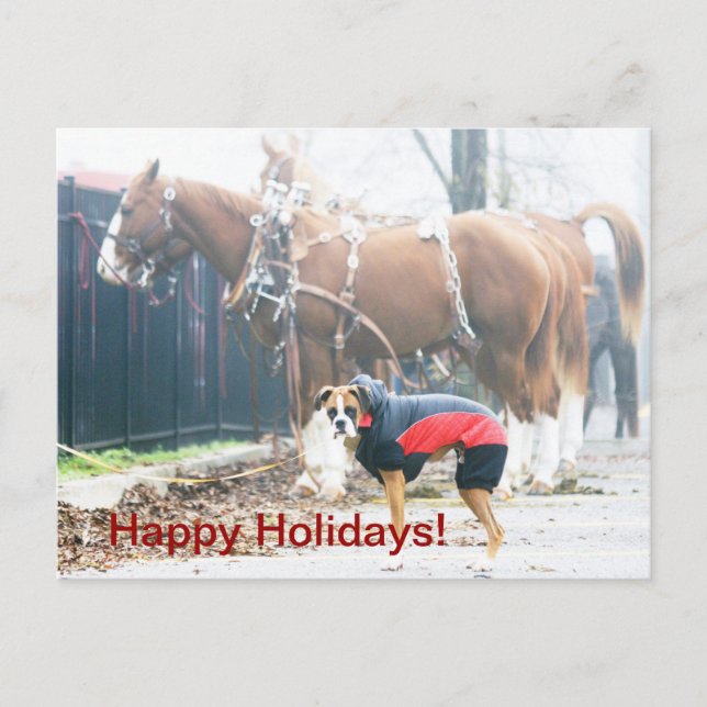 happy holidays holiday postcard (Front)