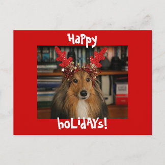 HaPpy HoLiDayS Holiday Postcard