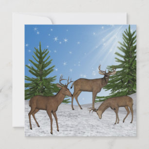 Happy Holidays Invitation