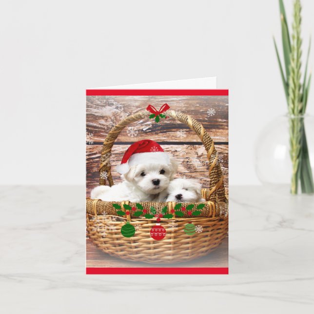 Happy Holidays: Maltese Puppies Holiday Card (Front)