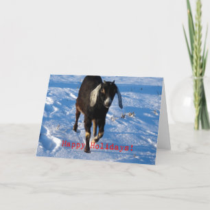 Happy Holidays Nubian Goat Holiday Card