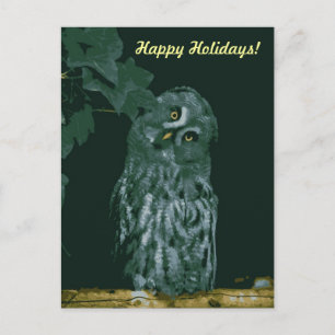 Happy Holidays Postcard