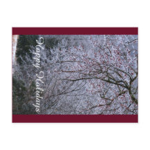 Happy Holidays Postcard