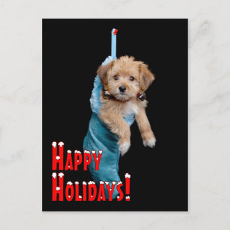 Happy Holidays Puppy Holiday Postcard