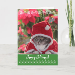 Happy Holidays! purr... from Santa cat. Holiday Card