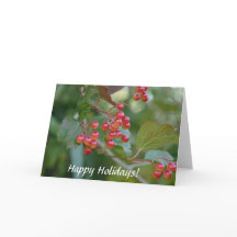 Happy Holidays : Red Berries
