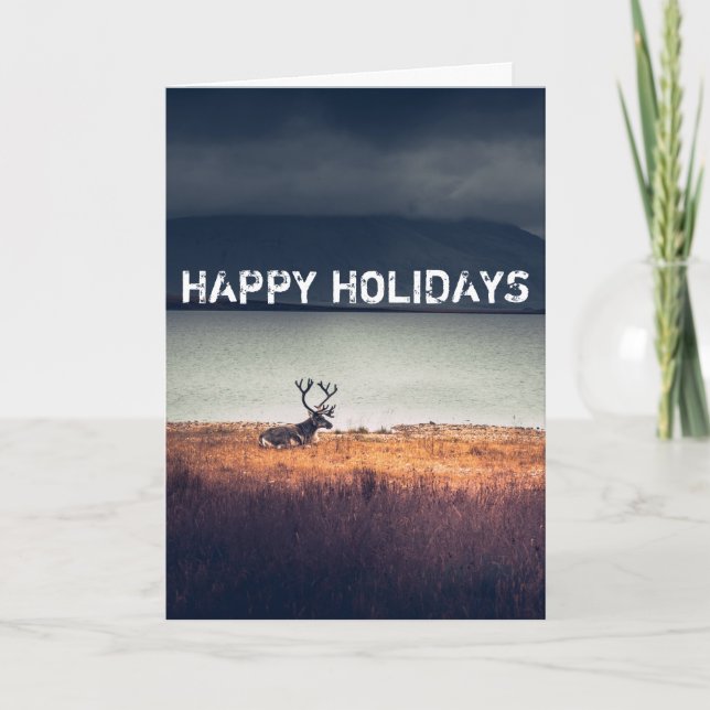 Happy Holidays, Reindeer Portrait Greeting Card (Front)