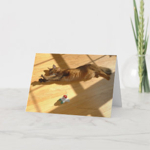 Happy Holidays, Somali Cat Style Holiday Card