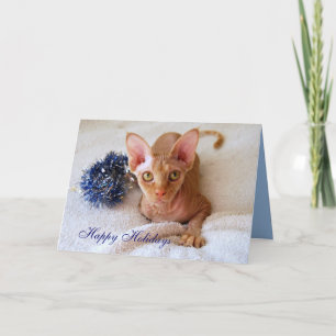 Happy Holidays Sphinx Cat With Blue Tinsel Card