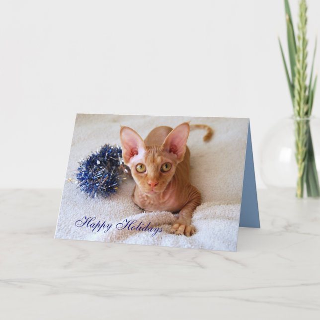Happy Holidays Sphinx Cat With Blue Tinsel Card (Front)