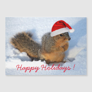 Happy Holidays Squirrel