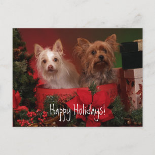 Happy Holidays Yorkie and Friends Holiday Postcard