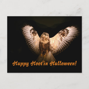 Happy Hoot'in Halloween Postcard