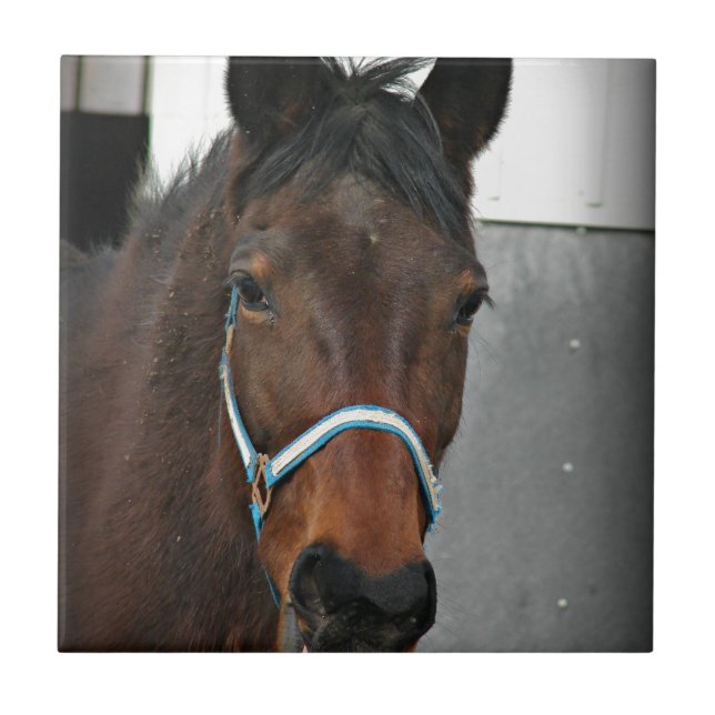 happy horse ceramic tile (Front)