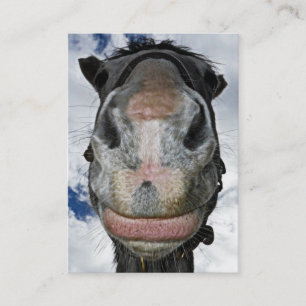 Happy Horse! Funny Nosey Horse Smiles Business Card