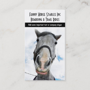 Happy Horse! Funny Smiling Horsey Business Card