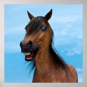 Happy Horse Poster