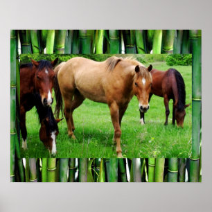 HAPPY HORSES POSTER