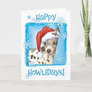 Happy Howlidays American Hairless Terrier Holiday Card