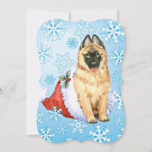 Happy Howlidays Belgian Tervuren Holiday Card
