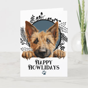 Happy Howlidays Berger Picard Dog Christmas Holiday Card