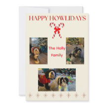 Happy Howlidays Candy Canes and Twinkle