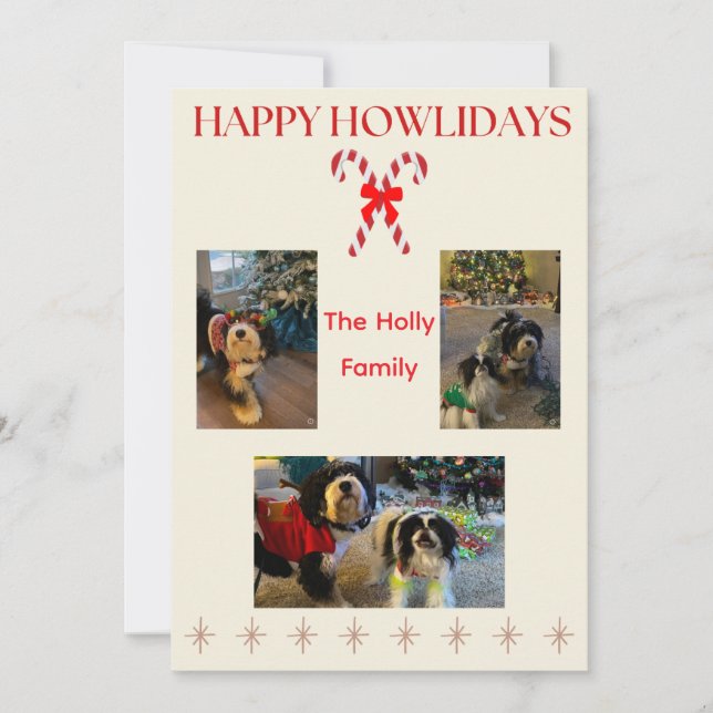Happy Howlidays Candy Canes and Twinkle Holiday Card (Front)