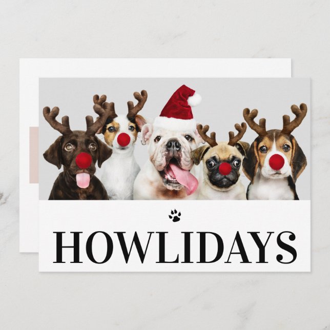 Happy Howlidays Dog Christmas 5 Photo Card (Front/Back)