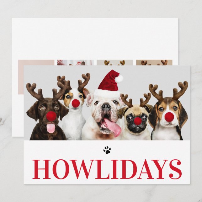 Happy Howlidays Dog Christmas 5 Photo Card (Front/Back)