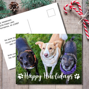Happy Howlidays Dog Photo Christmas Holiday Postcard