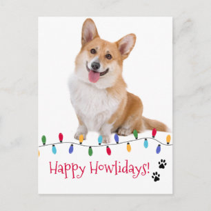 Happy Howlidays Dog Photo Festive Christmas lights Postcard