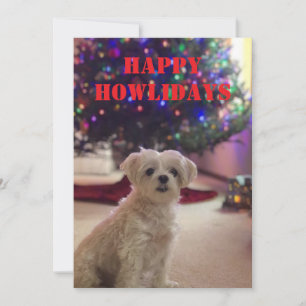 Happy Howlidays Invitation