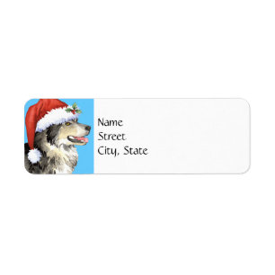 Happy Howlidays Malemute Return Address Label