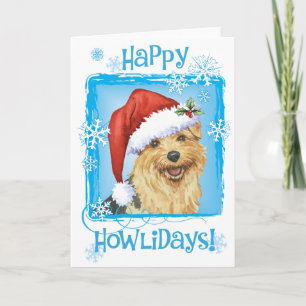 Happy Howlidays Norfolk Terrier Holiday Card