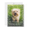 Happy Howlidays Pet Lover Holiday Photo Card