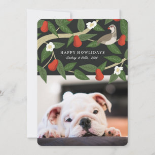 Happy Howlidays Photo   Partridge Pear Tree Holiday Card