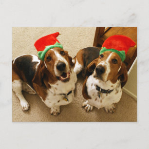 Happy Howlidays Postcard