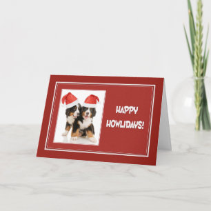 Happy Howlidays Pups Holiday Card