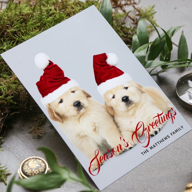 Happy Howlidays Season's Greetings Photo Christmas Holiday Card (Creator Uploaded)