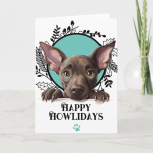 Happy Howlidays Xoloitzcuintli Dog Christmas Holiday Card