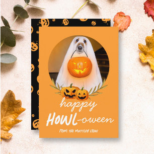 Happy Howloween   Halloween Pet Photo Holiday Card