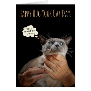 Happy Hug Your Cat Day (customisable)