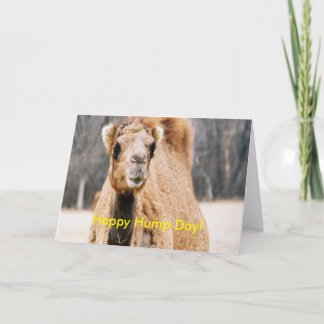 Happy Hump Day Card