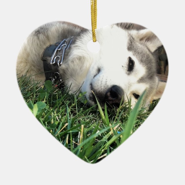 Happy Husky Ceramic Tree Decoration (Front)